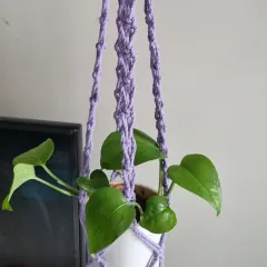 A vibrant purple plant hanger, perfect for adding a pop of color and bringing your plants to eye level.
