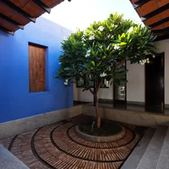 A central courtyard in 'The Tropical House' is built around a flowering frangipani tree. The vibrant blue wall and terracotta roof tiles are elements of vernacular architecture, reinterpreted in a modern context.