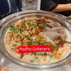 A close-up of our Dahi Vada, garnished with fresh coriander and spices. We make sure every dish looks as good as it tastes.