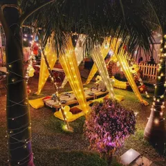 A wide view of our gazebo setup nestled among palm trees, with warm lighting creating an inviting and festive atmosphere for an evening celebration.