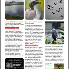 The second page of my Sanctuary Asia feature. It's a culmination of years of work, observation, and a deep connection to the wildlife that shares our urban spaces.