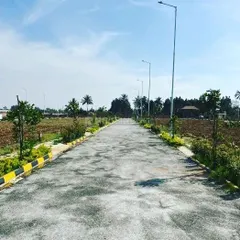 This is another perspective of the avenue plantation we executed for a residential layout. Our work focuses on creating sustainable green spaces for new communities.