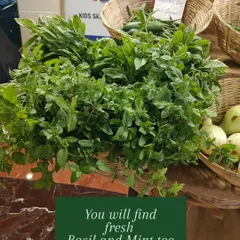 Freshly harvested basil and mint from our terrace garden. These aromatic herbs are the star ingredients in many of my artisanal products, including our popular vegan pesto.