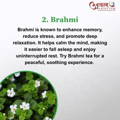 Brahmi is another excellent herb for the mind. It is known to enhance memory, reduce stress, and promote deep relaxation, making it easier to fall asleep and enjoy uninterrupted rest.