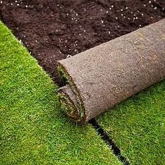 A close-up of a roll of turf being laid. You can see the rich soil and dense root system, which is key to ensuring the grass establishes itself quickly and thrives in its new environment.