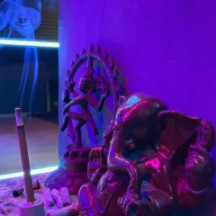 We begin our sessions with reverence for the art of dance. Statues of Lord Ganesha and Nataraja grace our studio, blessing our creative space.