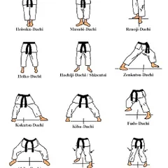 A strong house needs a strong foundation. These are the essential karate stances, or Dachi, that provide power and stability for all techniques.