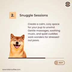 Mental health matters for pups too. Snuggle sessions in a calm, cozy space with gentle massages and soothing music can do wonders for a stressed-out pet.
