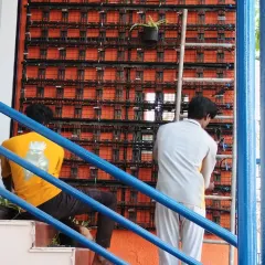 This photo shows my team during the installation of a large vertical garden system on a commercial property. I handle the entire process, from building the framework to placing the final plant.