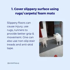 Slippery floors are a hazard. I use these interlocking foam mats in high-traffic areas to provide excellent grip and prevent injuries, giving dogs the confidence to move around freely.