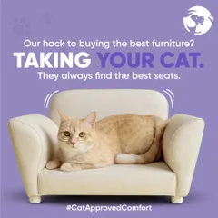 This ginger cat has claimed its throne. Our miniature pet sofas are not just cute, they are designed for ultimate comfort, making them a cat approved comfort spot in any home.
