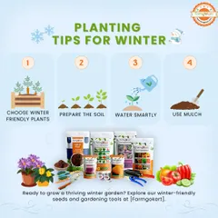 This guide gives you my top four planting tips for winter. I show you how to choose winter-friendly plants, prepare the soil, water smartly, and use mulch to protect your garden.