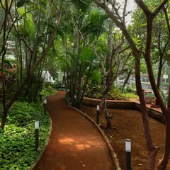 **Nepean Greens, Mumbai:** A winding pathway meanders through the trees, providing a peaceful walking route within the plaza. The careful placement of lighting ensures the space is safe and inviting even after sunset.