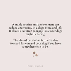 A stable routine is the solution to so much uncertainty in a dog's life. My goal is to be a seamless extension of the care you provide, even when you can't be there.