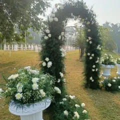 A beautiful floral arch made of lush greenery and white chrysanthemums. This created a stunning entrance and photo spot for an elegant outdoor day wedding.
