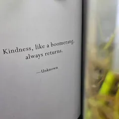 "Kindness, like a boomerang, always returns." This was a precept for my '48 Weeks of Wonder' journaling prompt. I encourage people to reflect in writing on experiences of kindness, both given and received. This simple act of writing and remembering can reconnect us to our own humanity and the goodness in the world.