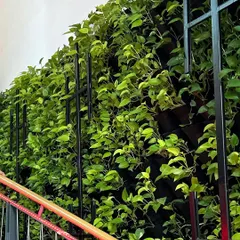 A close-up of the pocketed structure of our living wall for the Narcissus Project. Each plant is individually potted, allowing for healthy growth and easy maintenance, while a built-in irrigation system ensures they stay hydrated.