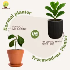 The difference is clear. On the left, a plant in a normal pot struggles. On the right, the same plant in our self-watering planter is thriving. We make it easy for your plants to live their best life, even if you forget to water them.