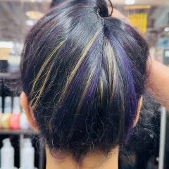 A peekaboo style with a fun twist. We added streaks of Crazy Violet and Blonde for a look that is subtle from one angle and bold from another.