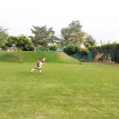 A game of chase is on. Dogs of all sizes running together on the lawn is a common sight. We ensure all play is supervised to keep it fun and safe for everyone.