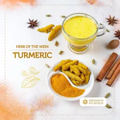 Turmeric, or Haridra, is a golden spice I celebrate for its powerful anti-inflammatory and immune-boosting properties. It is a simple yet effective addition to your daily routine for skin health, digestion, and overall wellness.