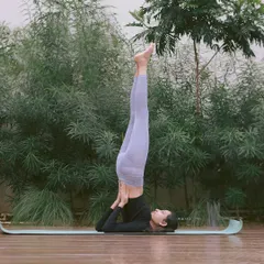 A still look at the Shoulder Stand (Sarvangasana). Holding this posture helps improve circulation to the upper body and can stimulate the thyroid gland. In my classes, I ensure you have the correct neck and shoulder support to practice this inversion safely.