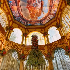 Our creativity isn't limited to outdoor lawns. We can transform any indoor space into a royal darbar, complete with intricate architecture and breathtaking ceiling art. This shows our range in creating opulent, European-inspired wedding decor.