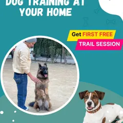 I believe in my methods so much that I offer a free trial session. This graphic advertises my at-home training service, giving you a chance to see my approach firsthand with no commitment.