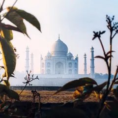 Finding a natural frame for the Taj Mahal. I shot this through some foreground plants to add depth and a sense of discovery to the image.