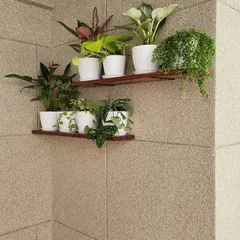 A simple and elegant solution for a small balcony corner. We installed two wooden shelves to hold a collection of small indoor plants in matching white pots, making use of vertical space to create a mini garden without cluttering the floor.