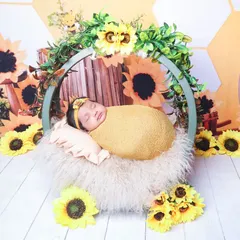 Another angle of the sunflower theme, showing the baby peacefully sleeping in a prop basket against a honeycomb backdrop.