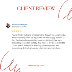 I always do my best to accommodate my clients, even on busy days. It was a pleasure to groom Coco the Golden Retriever puppy and provide a patient, professional service.