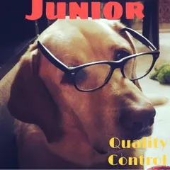 Meet Chef Junior, my Labrador and the most important member of our team. He's our official Quality Control expert, and no treat leaves our kitchen without his enthusiastic paw of approval.