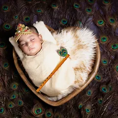 My heart is so full creating these special themes. Here is a little makhanchor, our beloved Krishna, resting peacefully in a heart-shaped bowl surrounded by peacock feathers. It's a blessing to bring these cultural stories to life.