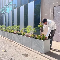 I am carefully placing a flowering plant into one of the FRP planters. We use our own blend of cocopeat, soil, and compost to provide the best nutrients and drainage for the plants to thrive in a commercial setting.
