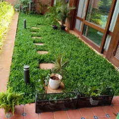 A narrow side yard transformed into a vibrant green corridor. The dense, healthy grass is complemented by carefully placed plants and modern lighting, making the space both beautiful and functional.
