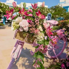 A pink bicycle with a basket full of vibrant lilies and hydrangeas. This charming detail from a Victorian-themed luncheon added a touch of whimsy and became a favorite spot for photos, blending vintage nostalgia with floral beauty.