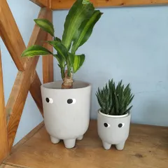 How cute are these little planters with feet and eyes? They add a touch of personality and fun to your plant collection. They're perfect for a small desk plant or succulent.