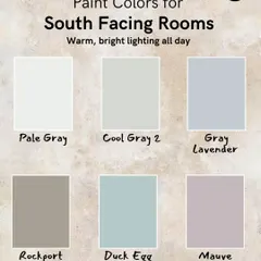South-facing rooms are blessed with warm, bright light throughout the day. You can embrace cooler tones like pale gray, duck egg, or even a sophisticated mauve to create a calm and balanced atmosphere.