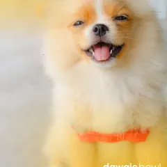 I hope our food makes every pet smile like this. A healthy diet can improve your pet's quality of life in so many ways, and that happy expression says it all.