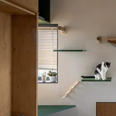 We believe good design should extend to every member of the family, including pets. In this guest bedroom, we integrated a custom 'cat wall' with shelves, ramps, and a hammock, creating a playful vertical landscape for our clients' feline friends.