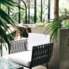 Finding those perfect little nooks. This shot highlights a comfortable seating area, framed by plants, suggesting a quiet corner for conversation or relaxation.