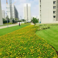 A vibrant flower bed with yellow blossoms creates a beautiful contrast against the green lawn of an apartment complex, showcasing our use of color in landscape design.