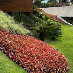 We use mass plantings of colorful foliage, like these red bromeliads, to create a dramatic impact on sloped areas. This technique is great for adding color and preventing soil erosion.