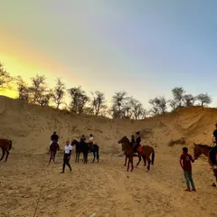 Riders and their horses gather on the sandy dunes of the Aravallis at dusk. Our experienced guides ensure a safe and enjoyable journey for everyone, making it a perfect group adventure activity near Gurgaon.