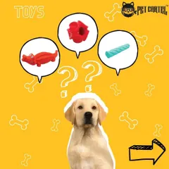 A bored pet is a mischievous pet! Keep them entertained with our selection of durable and engaging toys, designed for chewing, fetching, and puzzle-solving.