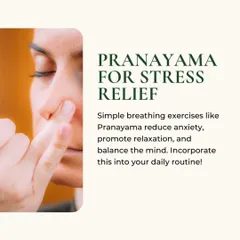Your breath is a powerful tool for stress relief. This image explains how simple breathing exercises like Pranayama can reduce anxiety, promote relaxation, and balance the mind. Incorporating this into your daily routine can make a significant difference.