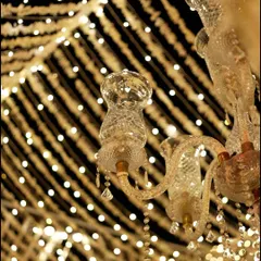 A close-up of a crystal chandelier against the backdrop of the fairy light and floral string canopy. The combination of different light sources created depth and sparkle.