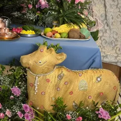 A close-up of a custom prop from our Janmashtami decor. A golden, sequined cow figurine sits nestled amongst a bed of fresh pink flowers and baby's breath, adding a traditional and charming detail.