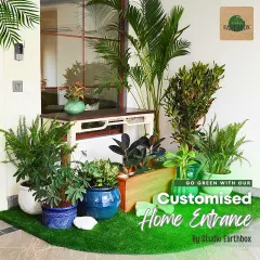 A welcoming home starts at the entrance. We transformed this stilt area into a lush and inviting entryway using a layered arrangement of real plants in varied ceramic pots, set on a bed of artificial turf for a clean, evergreen look.